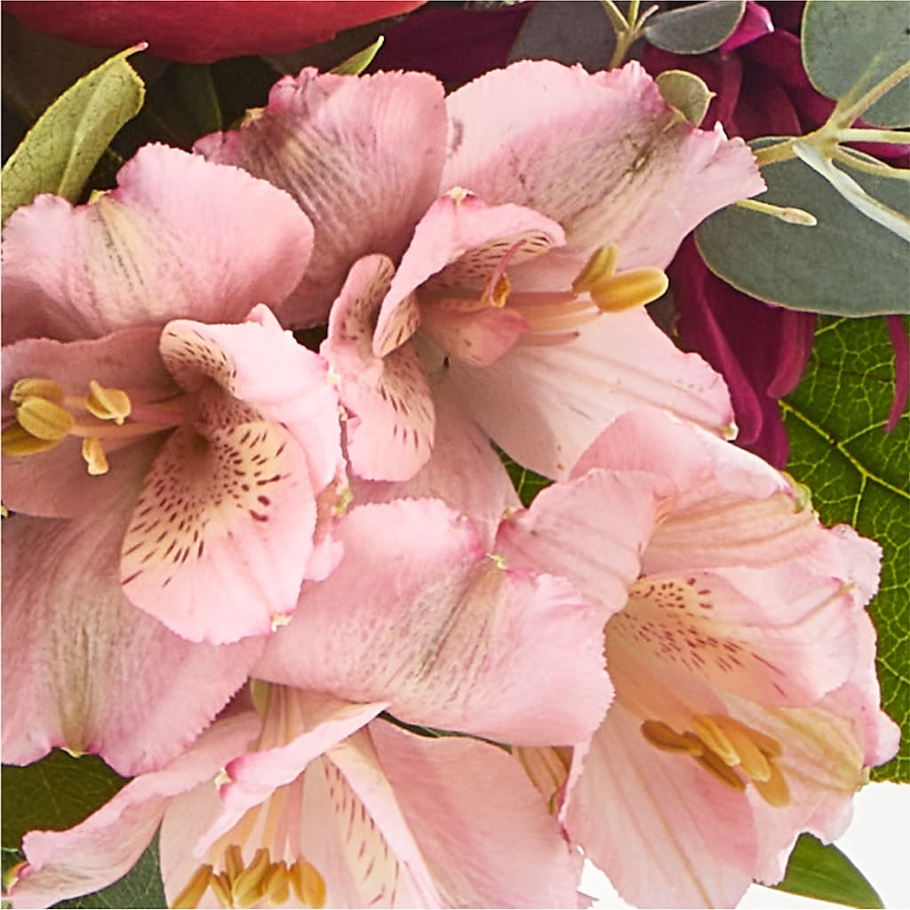 Berry Cobbler Bouquet –  Overnightflowerdelivery.com, Tontitown AR