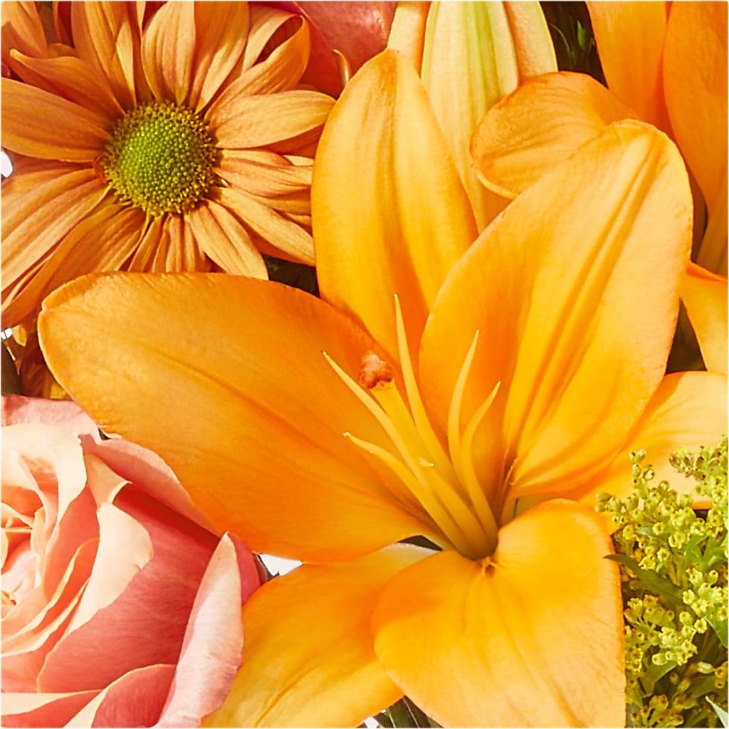 Harvest Hayride Bouquet –  Overnightflowerdelivery.com, Tontitown AR