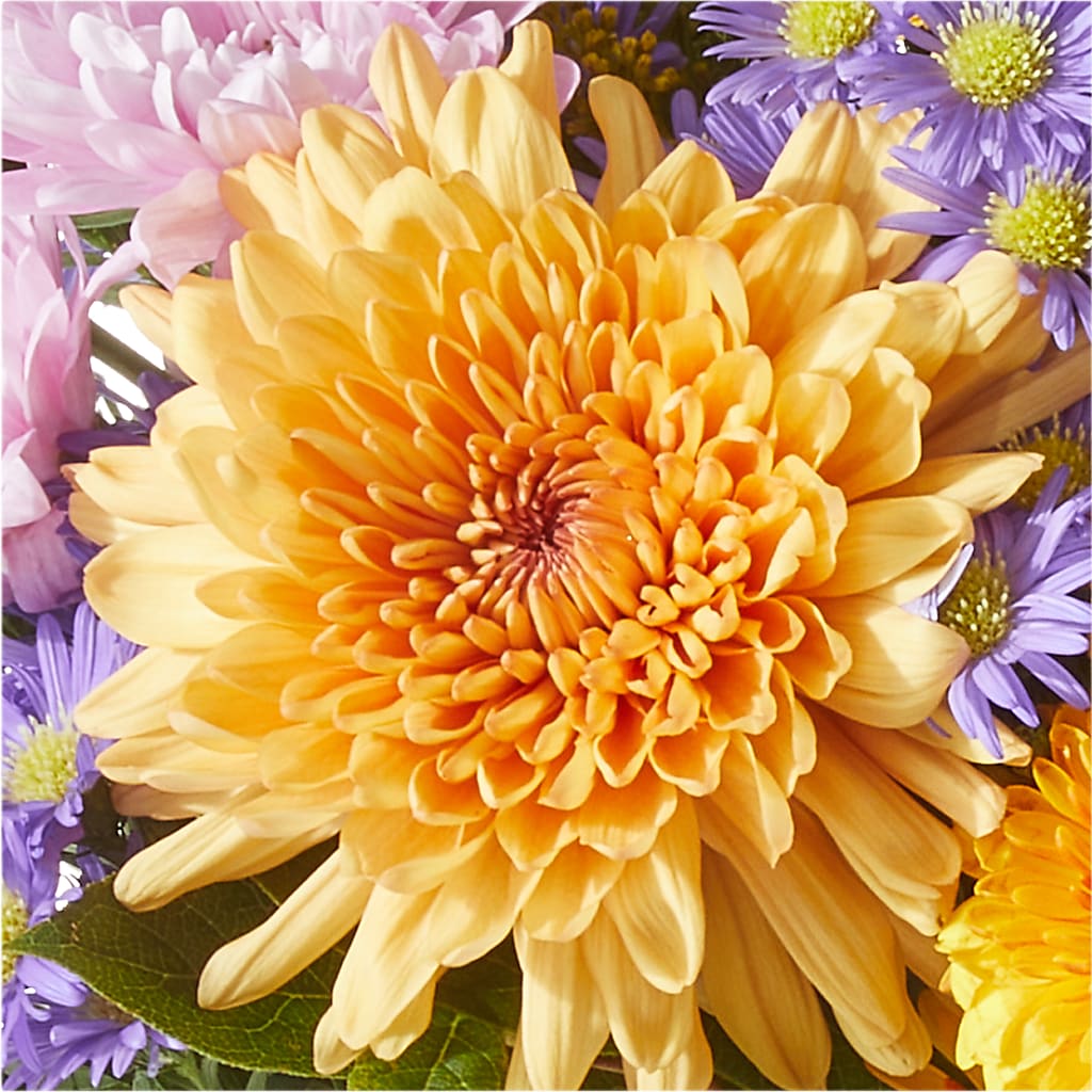 Countryside Bouquet –  Overnightflowerdelivery.com, Tontitown AR