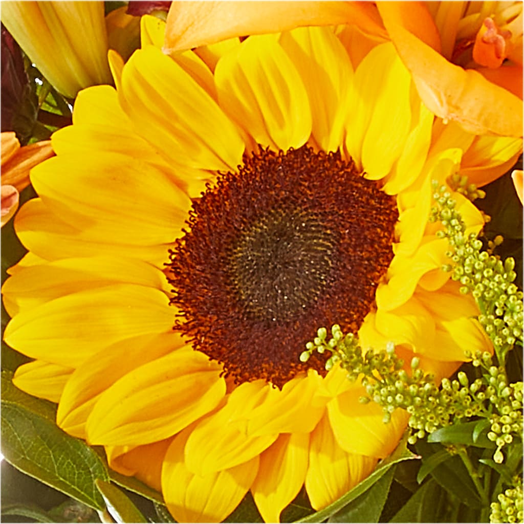 Seasons Change Bouquet –  Overnightflowerdelivery.com, Tontitown AR