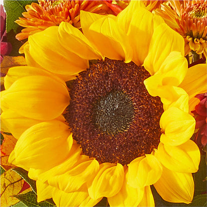 Sunny Side Bouquet –  Overnightflowerdelivery.com, Tontitown AR