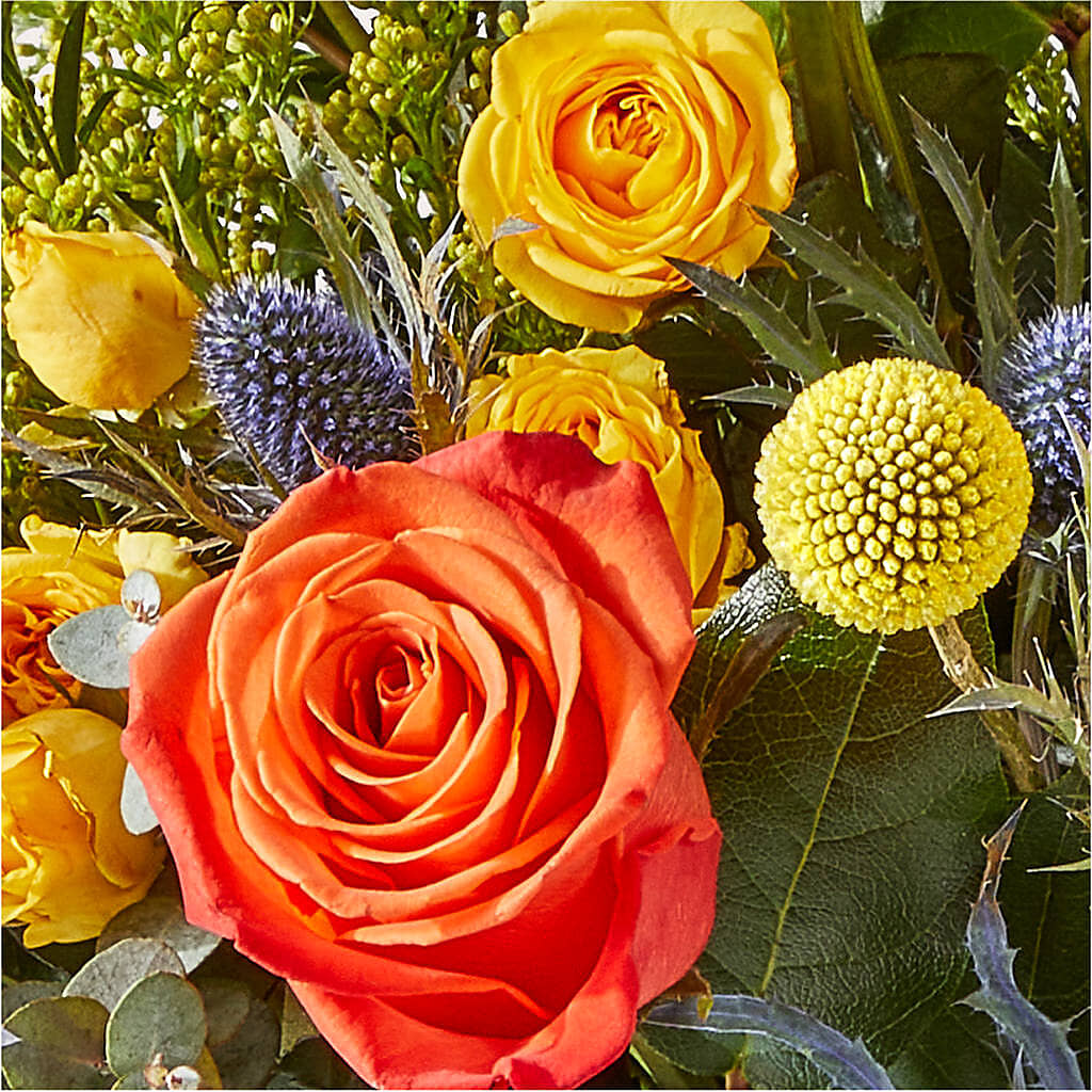 Disco Bouquet –  Overnightflowerdelivery.com, Tontitown AR