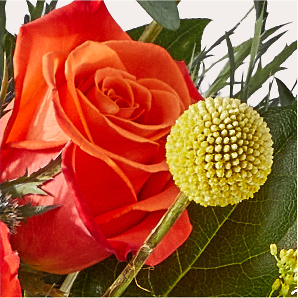 Disco Bouquet –  Overnightflowerdelivery.com, Tontitown AR