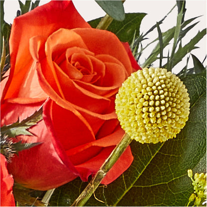 Disco Bouquet –  Overnightflowerdelivery.com, Tontitown AR