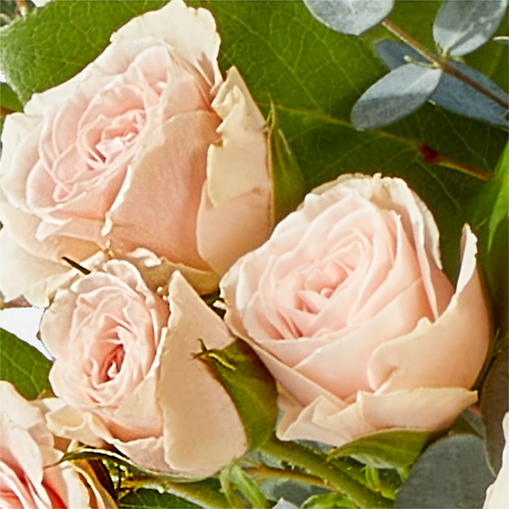 Inspired Bouquet –  Overnightflowerdelivery.com, Tontitown AR