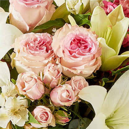 Ballet Slippers Bouquet –  Overnightflowerdelivery.com, Tontitown AR