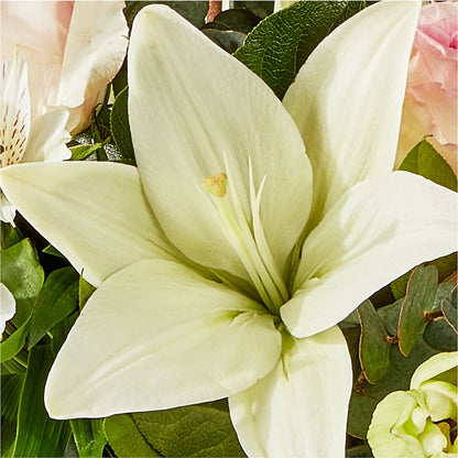 Ballet Slippers Bouquet –  Overnightflowerdelivery.com, Tontitown AR