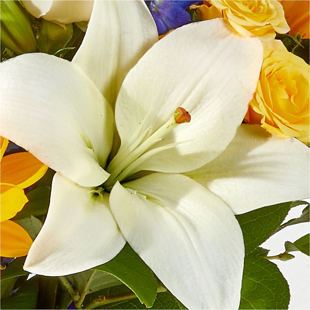 Wonderfully Sunny Bouquet –  Overnightflowerdelivery.com, Tontitown AR