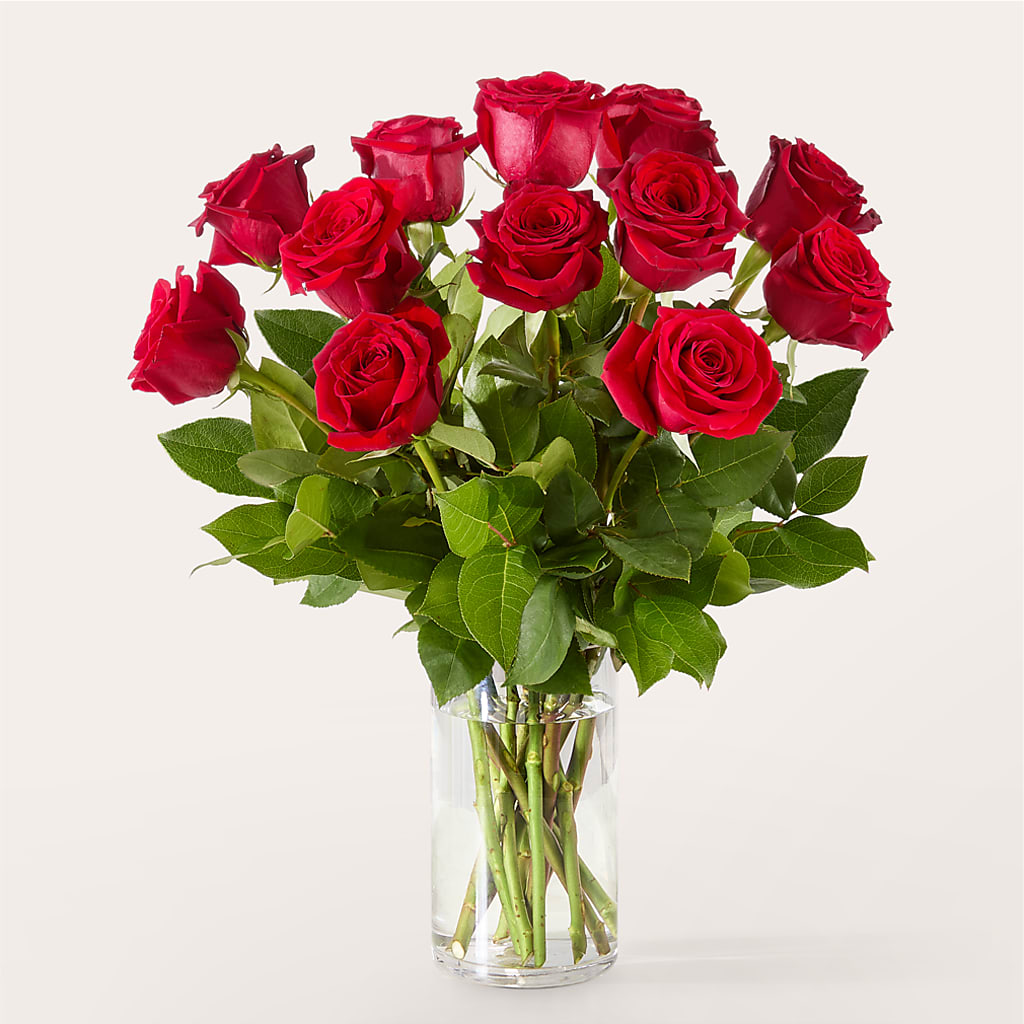 The One Red Rose Bouquet –  Overnightflowerdelivery.com, Tontitown AR