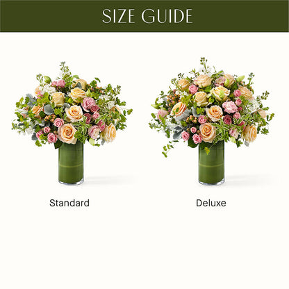 The Glamour Shot –  Overnightflowerdelivery.com, Tontitown AR