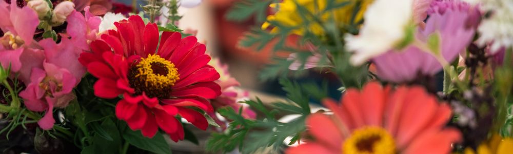 sendFlowerOvernight_Image_1771357845474.jpeg